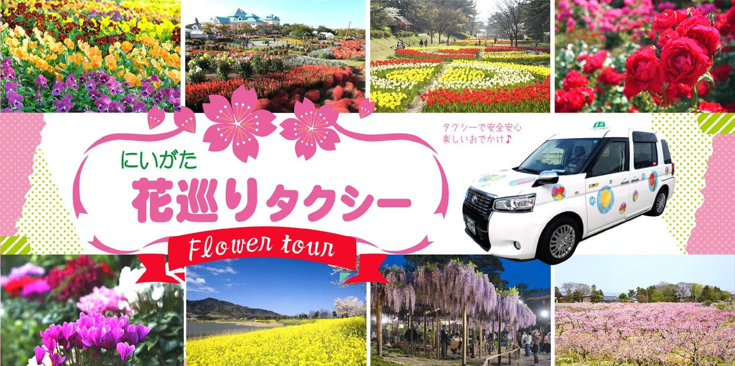 花巡りタクシートップイメージ
