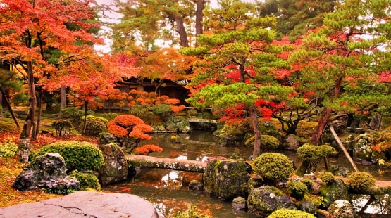 秋の紅葉