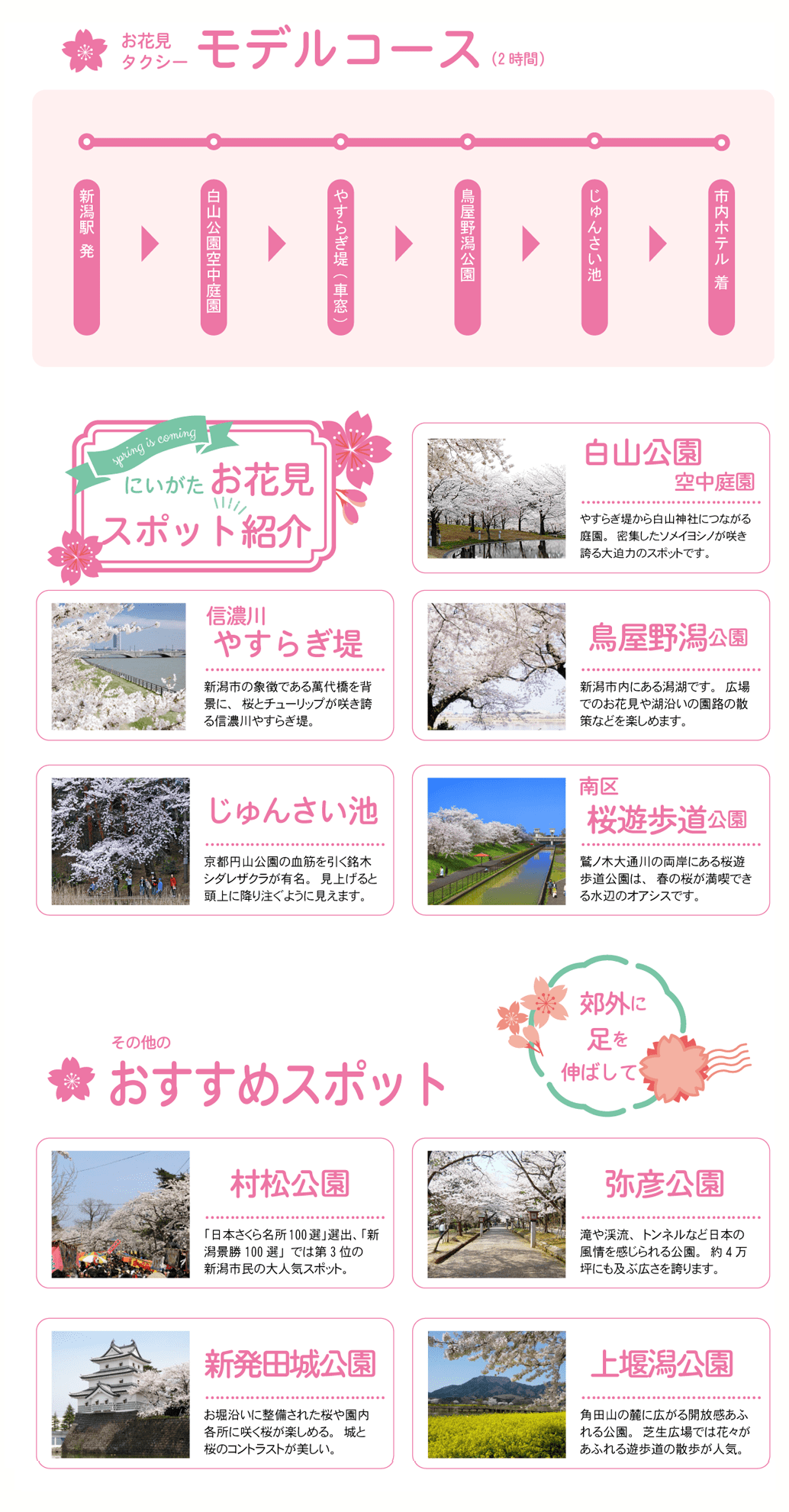 お花見モデルコース