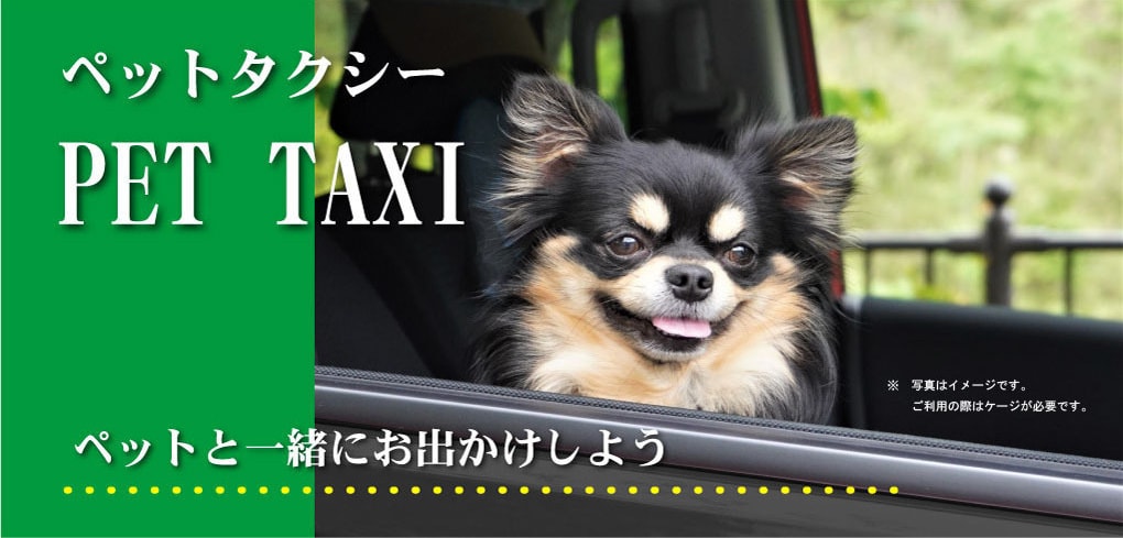 ペットタクシー