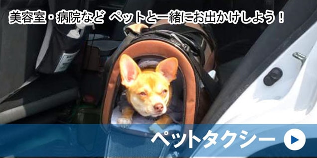ペットタクシー