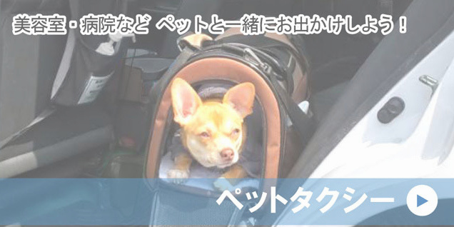 ペットタクシー